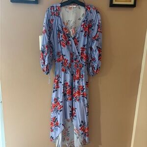 Parker Xiomara dress